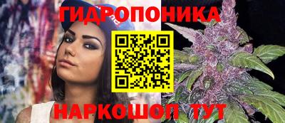 apvp Обь