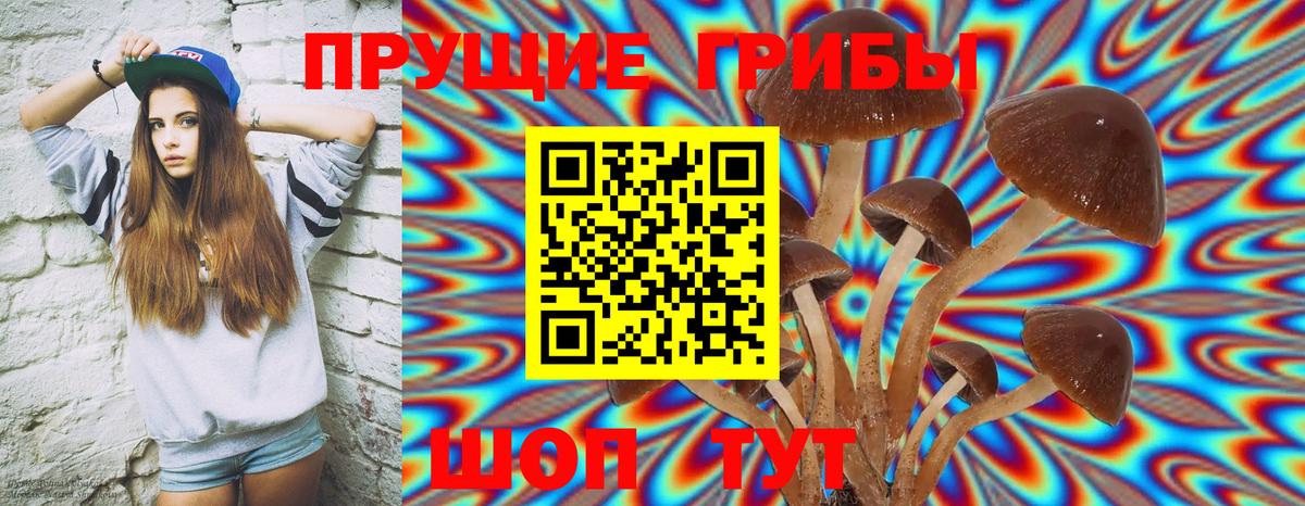 Псилоцибиновые грибы мицелий Ноябрьск