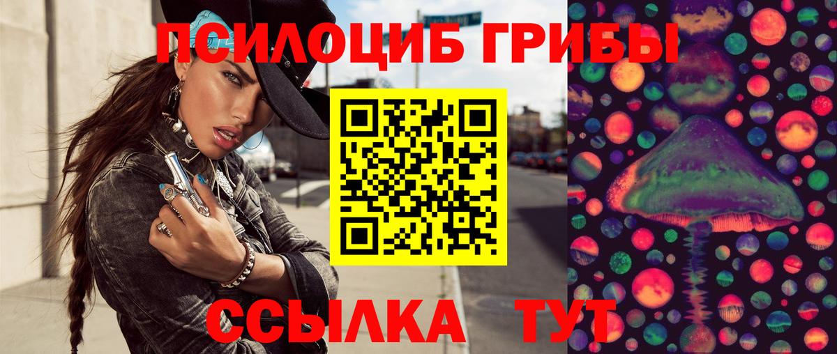Галлюциногенные грибы Psilocybine cubensis  закладки  Ноябрьск  Вход с VPN 